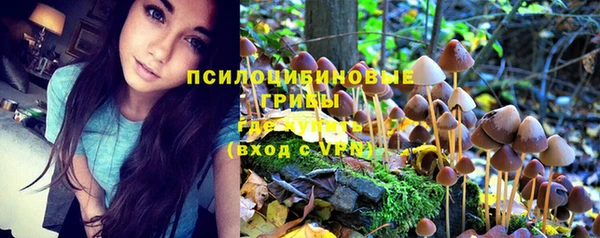 бутират Армянск