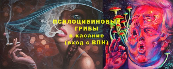 PSILOCYBIN Арсеньев